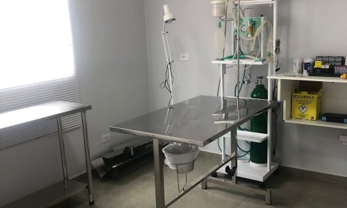 WhatsApp Image 2025-09-23 at 16.15.47