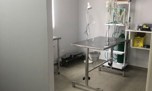 WhatsApp Image 2025-09-23 at 16.15.48