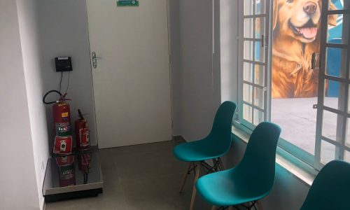 WhatsApp Image 2025-09-23 at 16.15.49 (5)