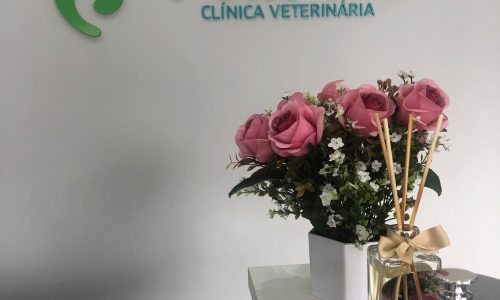 WhatsApp Image 2025-09-23 at 16.15.49 (6)